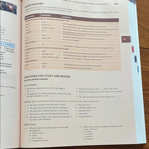 Human Body textbook - Picture 7 of 11